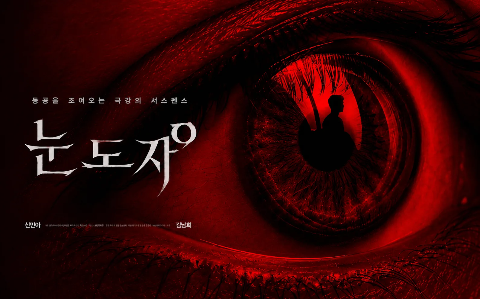 신민아 주연 영화 눈동자 극장 관람 후기와 스릴러 리뷰신민아 주연 영화 눈동자 극장 관람 후기와 스릴러 리뷰